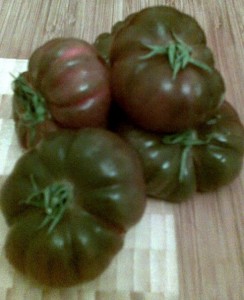 Purple Heirloom