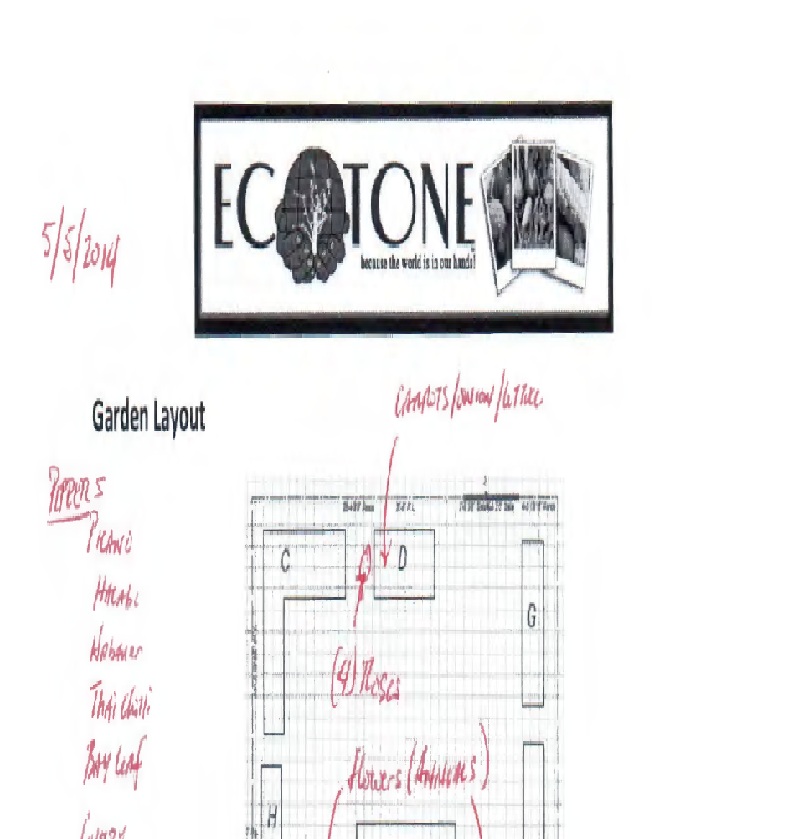 Plant Layout 2